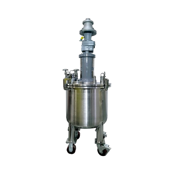 100 Litres Polymerization Reactor